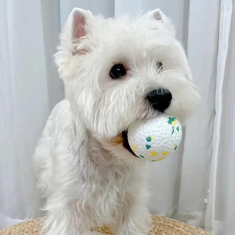 Bola Indestrutivel Para Cachorros MastigaPet® - Image 3