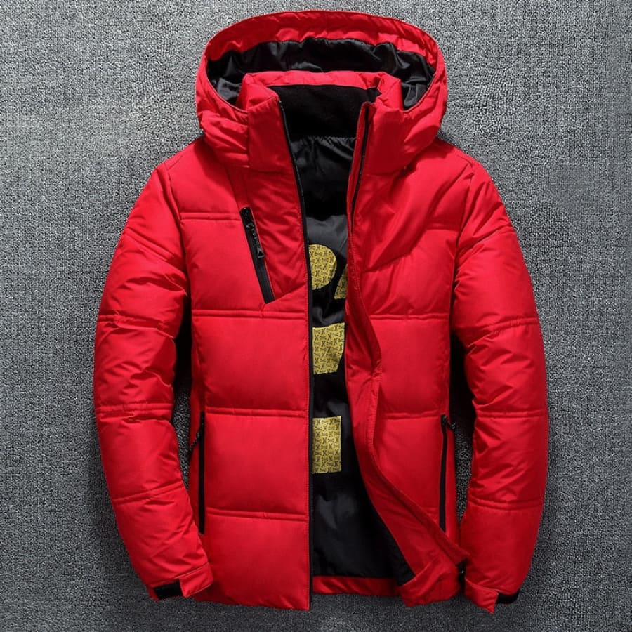 Jaqueta Bomber Masculina - Image 4