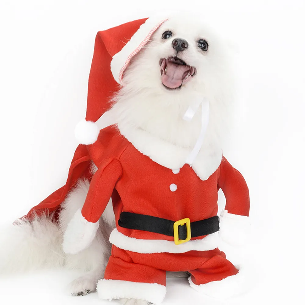 Roupa Natal para Animal de Estimação Papai Noel - Image 4