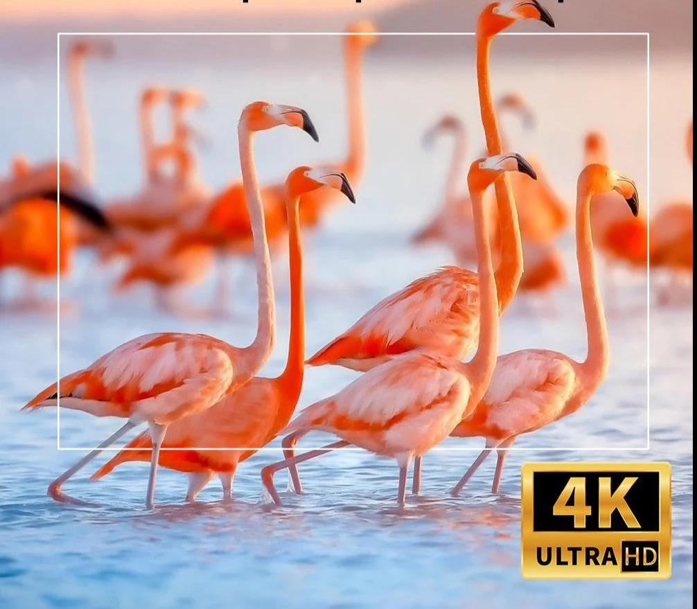 Projetor YG300 Portátil 4K - Image 7