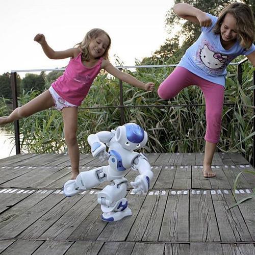 Robo de Brinquedo - Pro Motion - Image 3