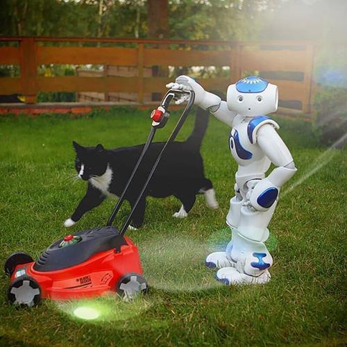 Robo de Brinquedo - Pro Motion - Image 4